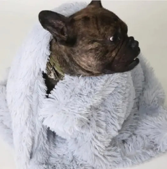 Cozy Pet Blankets